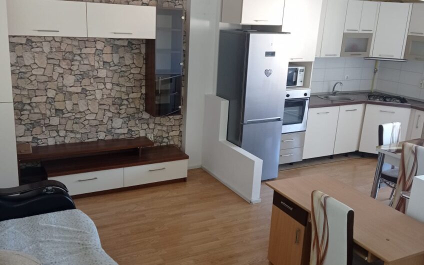 Chirie 2 camere Lupului