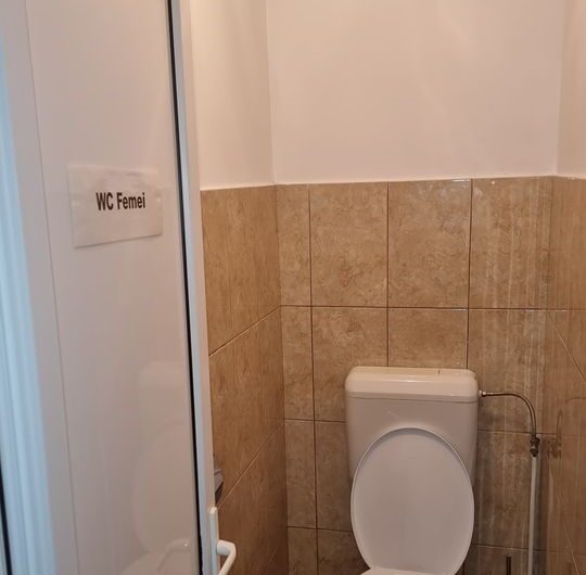 Spatiu Comercial Zona Victor Babes