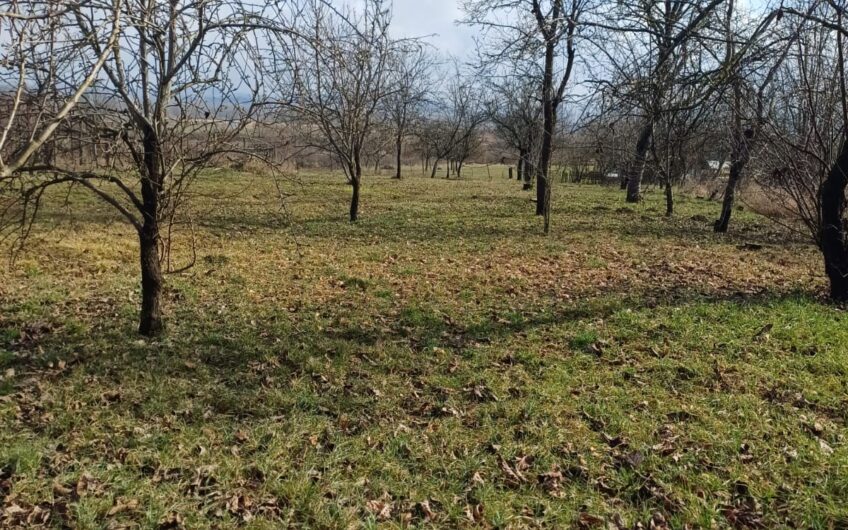 Casa la 12 Km de Baia Mare