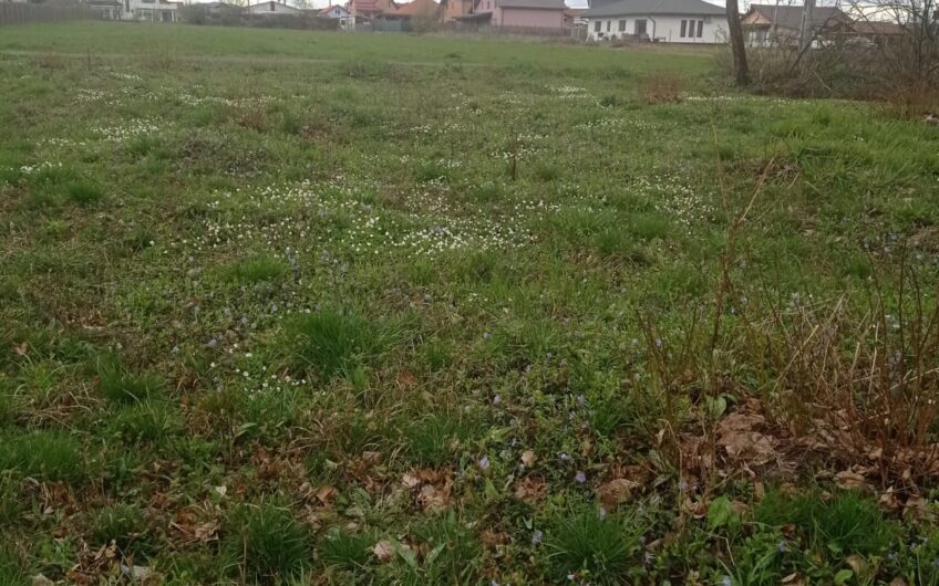 Teren Satu Nou de Jos