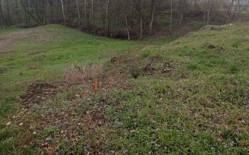 Teren Satu Nou de Jos