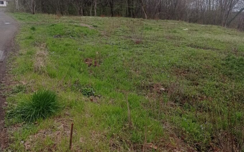 Teren Satu Nou de Jos