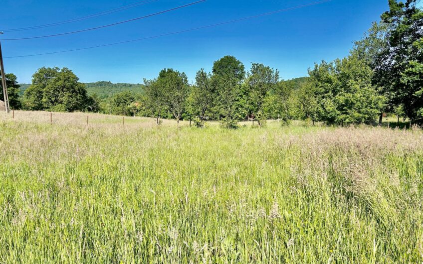 Teren 9.5 ari Sisesti