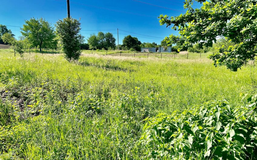 Teren 9.5 ari Sisesti