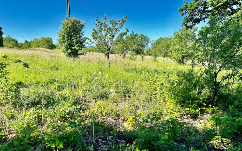 Teren 9.5 ari Sisesti