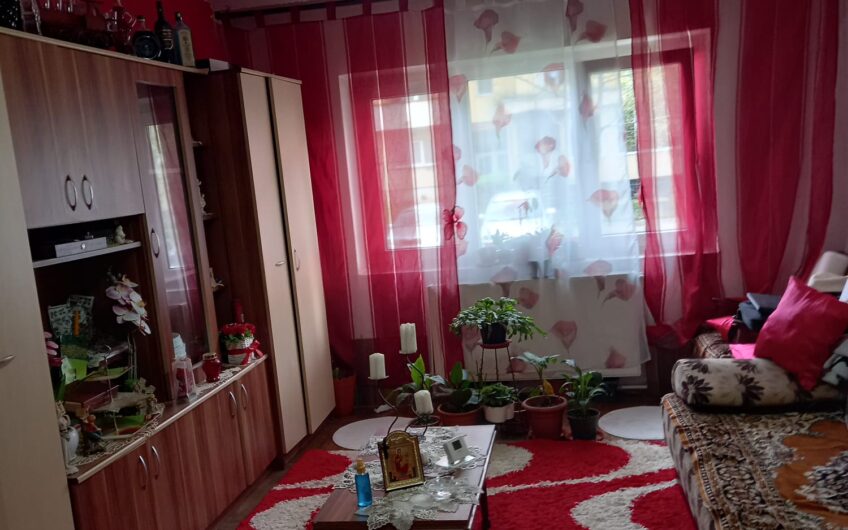 Paltinisului 2 camere Decomandat