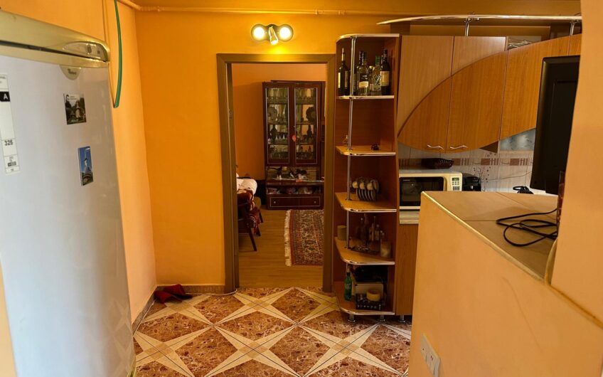 Apartament 2 camere Paltinisului