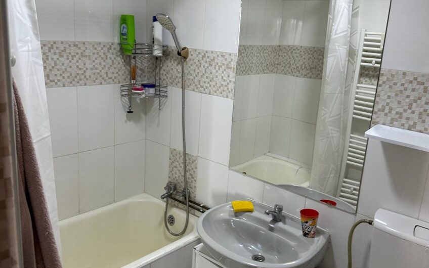 Chirie 2 camere BLD Regele Mihai