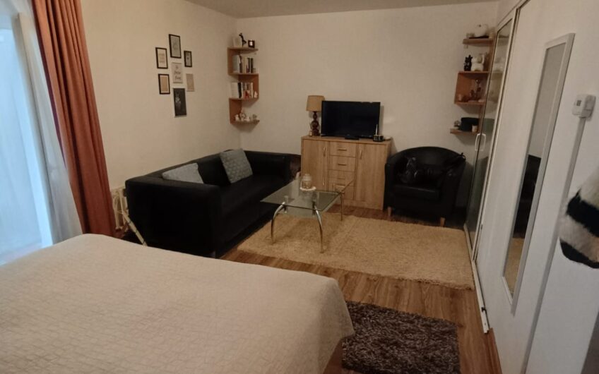 Regele Mihai Parter Apartament o Camera
