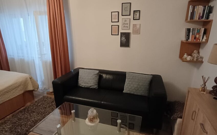Regele Mihai Parter Apartament o Camera