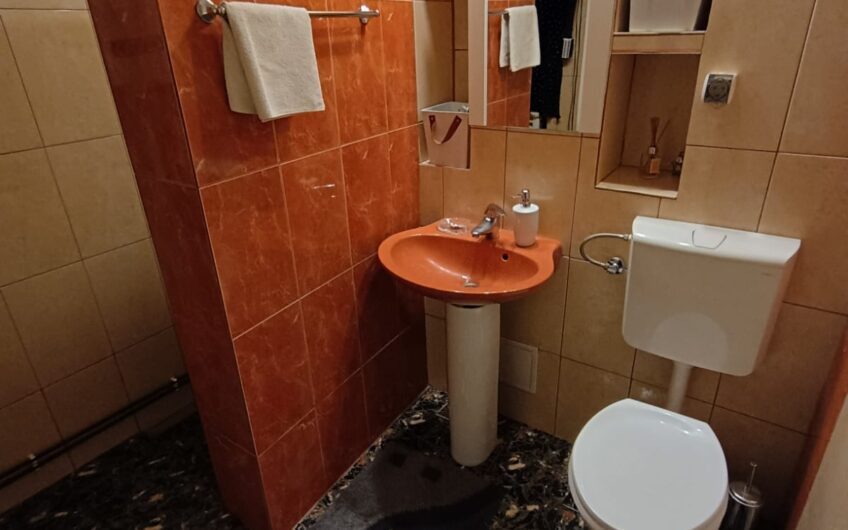 Regele Mihai Parter Apartament o Camera