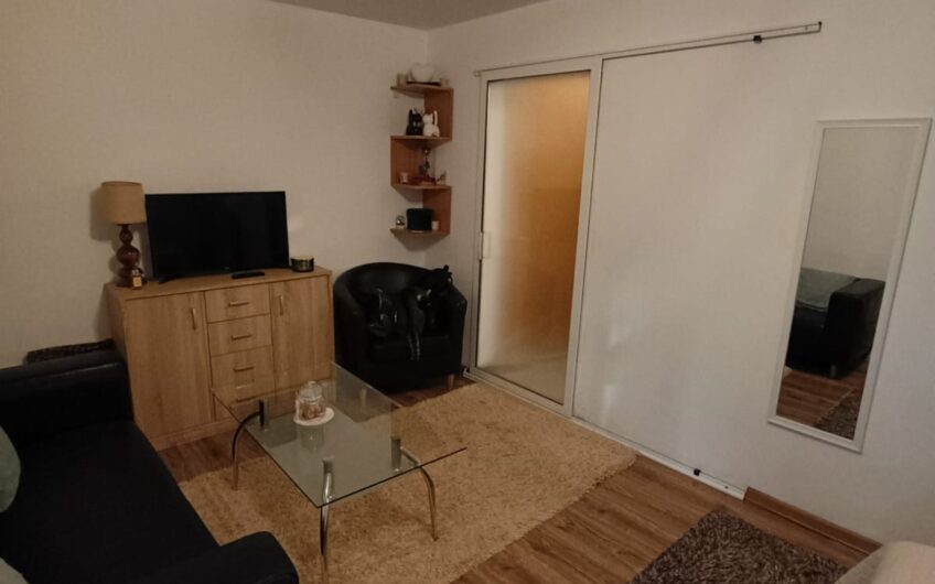 Regele Mihai Parter Apartament o Camera