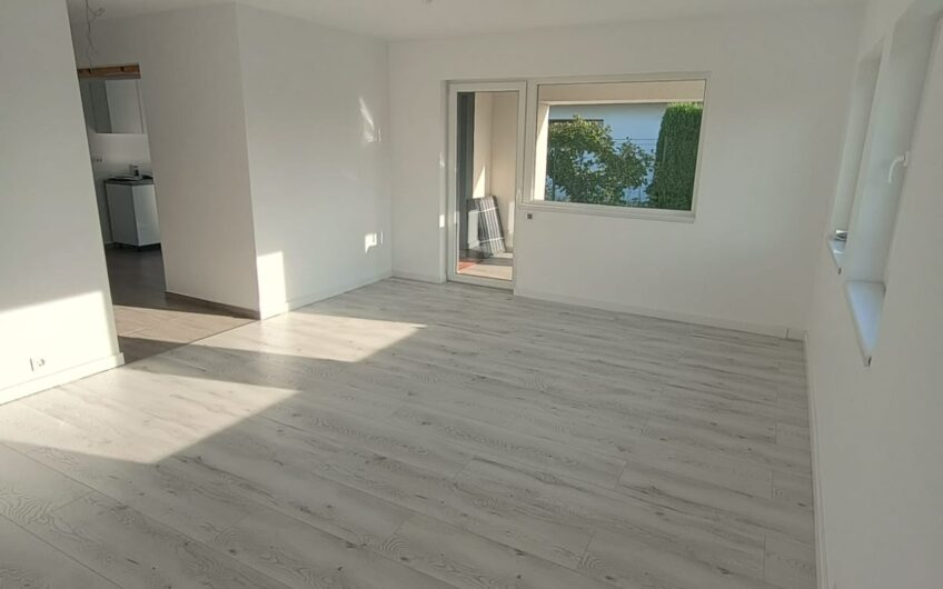 Casa Noua Satu Nou de Jos