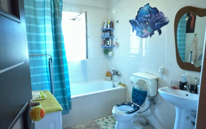 Apartament 2 camere Rozelor