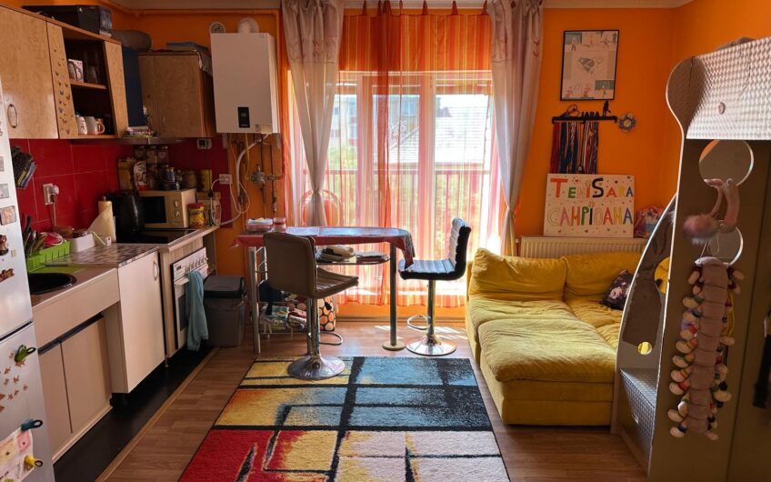 Apartament 2 camere Rozelor