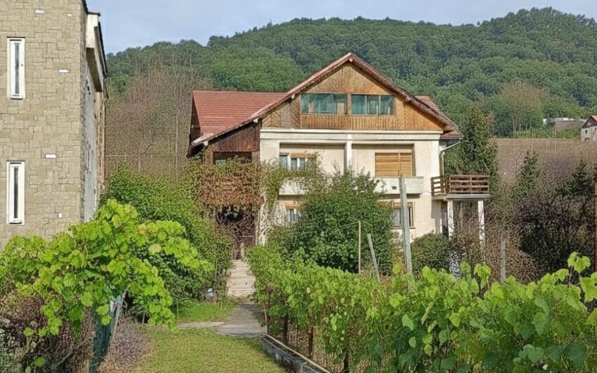 Casă tip duplex (jumătate de duplex) – Baia Mare