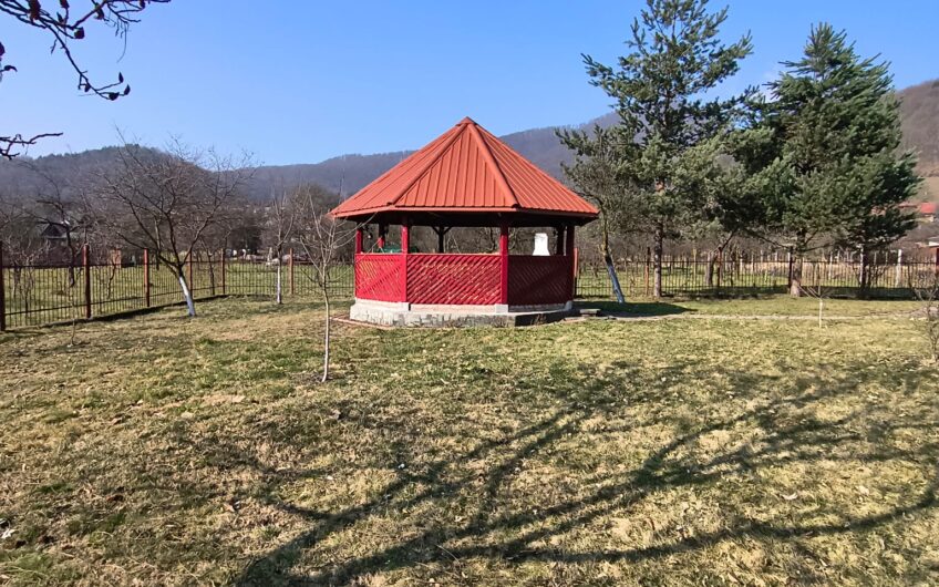 Teren intravilan 14 ari – Baia Mare, Ferneziu | Zonă deosebită