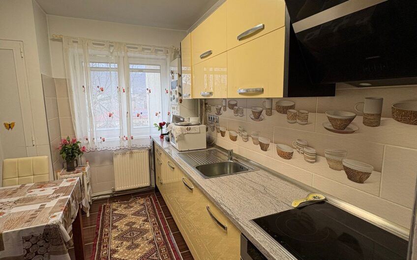 Apartament 3 camere Bd Traian Zona Garii